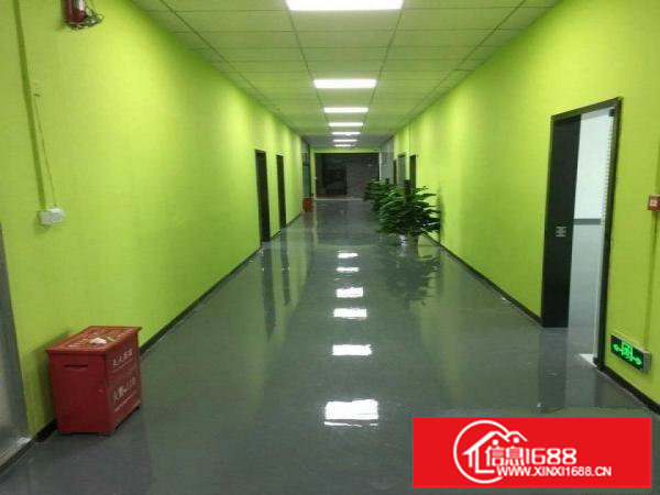 出租坂田吉华路80平138平168平，办公电商大小可分租