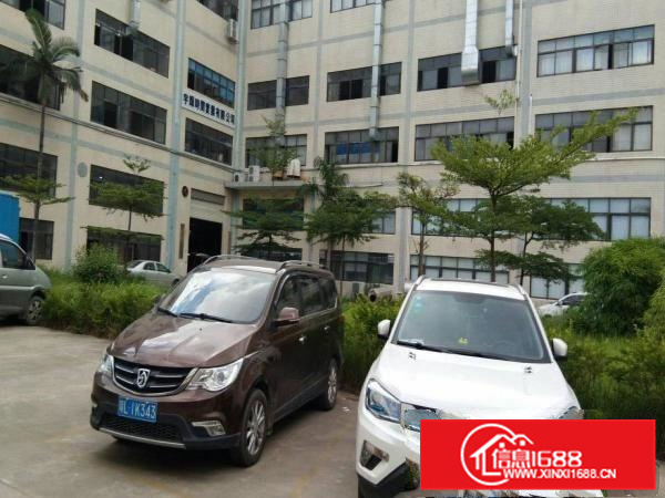 陈江大欣工业区一楼标准厂房1150带装修现成水电