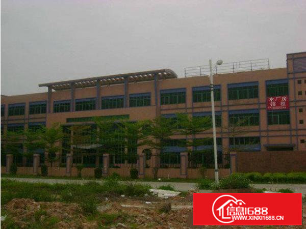 横沥超靓独院厂房3300平方低价出租