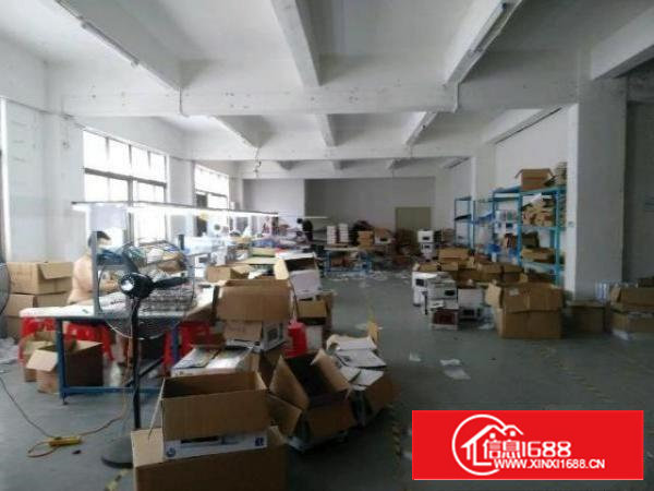 沙井万丰乌泥棚精装修650平米厂房出租