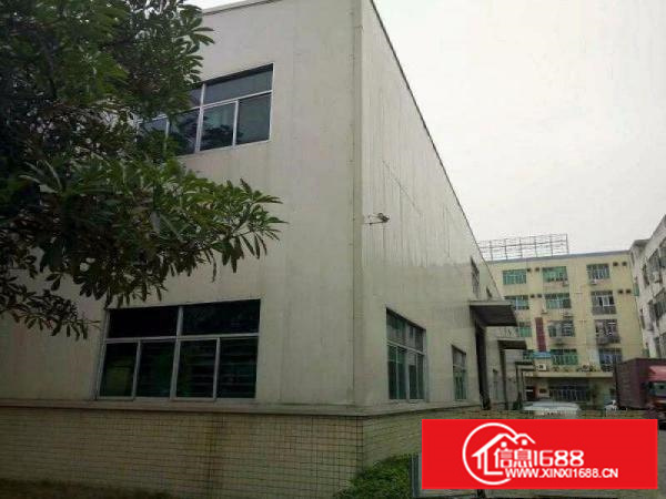 业主直租龙岗区坂田岗头钢构、标准厂房，免中介费