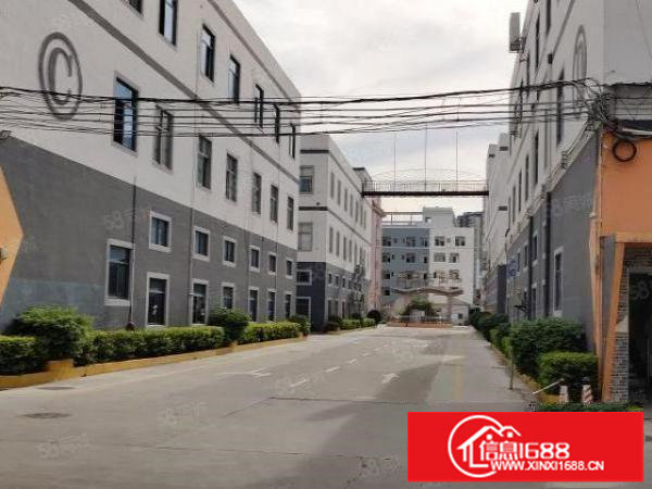 观澜高速口一公里独栋3层8100平可分租