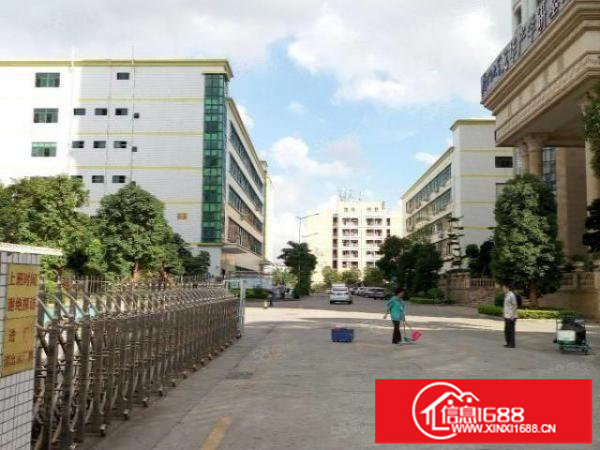 大浪高薪科技园，整层3000平厂房，豪华装修出（可分租）