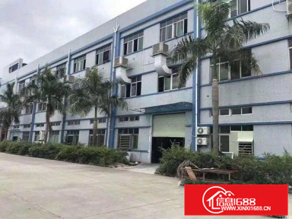 桥头镇原房东独院厂房出租3500平方租金便宜无公摊