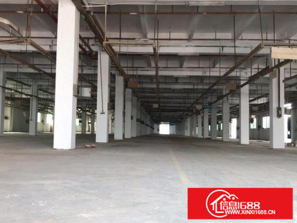 低价出租虎门居岐广兴博腾产业园一二楼6000方