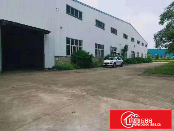 大朗镇单一层独院钢构厂房11000平方