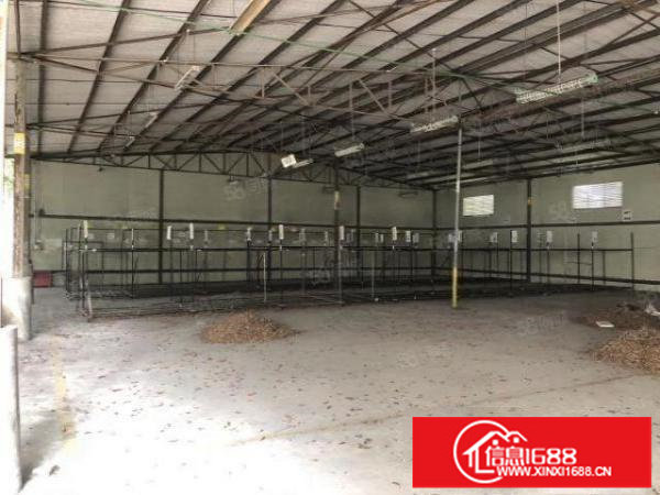 布吉丹竹头一楼2000平方大小分租，资源回收可做