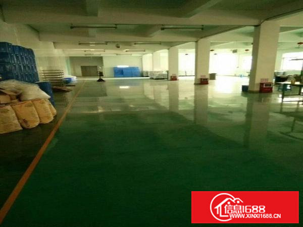 桥头镇经典小独院厂房2800平方