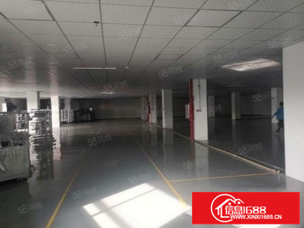 茶山镇前一秒新出43000平花园式独院带房产证国土证