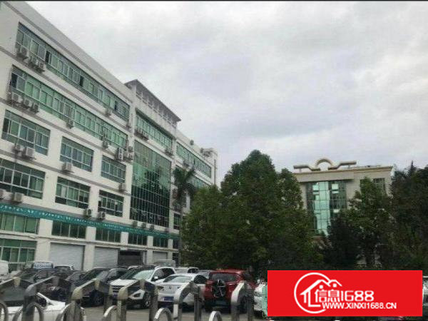 坂田花园式一楼厂房3600平，层高6米，900平起分租