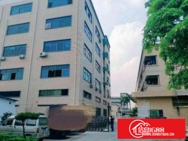 光明西田社区一楼1200平厂房出租高6米精装修