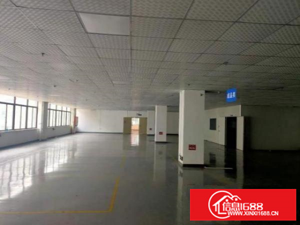 观澜工业区新出单层面积2000平方，大小200平方起分！