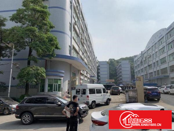 横岗地铁站新出一二楼厂房各1200平，带装修可分租