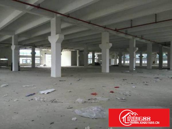 全新独栋独院厂房出租