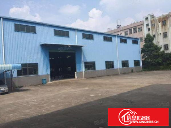 大岭山镇单一层钢构厂房500平方分租超大空地