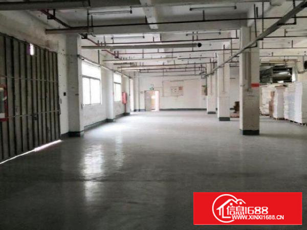 西乡九围村厂房出租，3000平方、租金25每平方