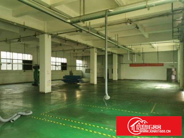 清溪镇浮岗原房东小独院厂房出租4000平方交通方便易招工