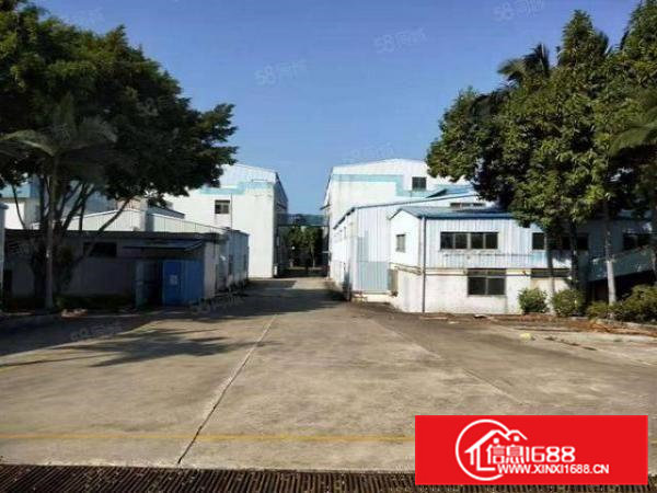 原房东单一层经典独院出租，高度7.5米，带消防喷淋