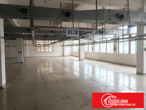 塘角原房东现成制衣车间11元出租2400平方无管理费