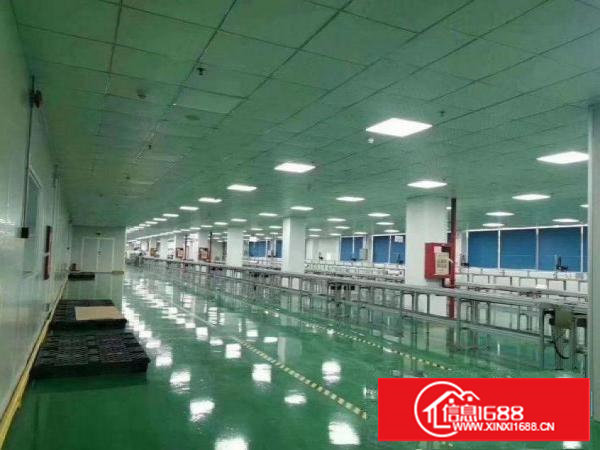 龙背岭新出一楼1500平带阁楼办公室厂房招租