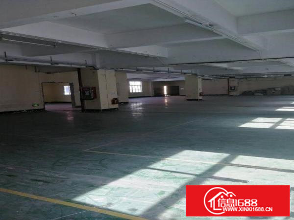 凤岗浸校塘五楼1600平米招租