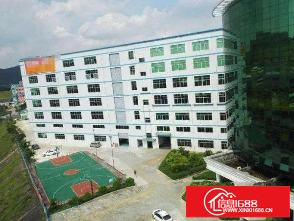 原房东厂房）1000平方米）一楼厂房）楼上厂房出租