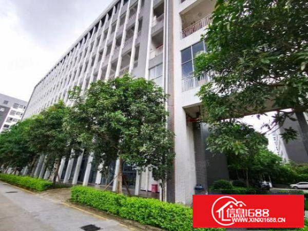 坂田地铁口800平园林式办公厂房出租研发楼形象好带精装办公室