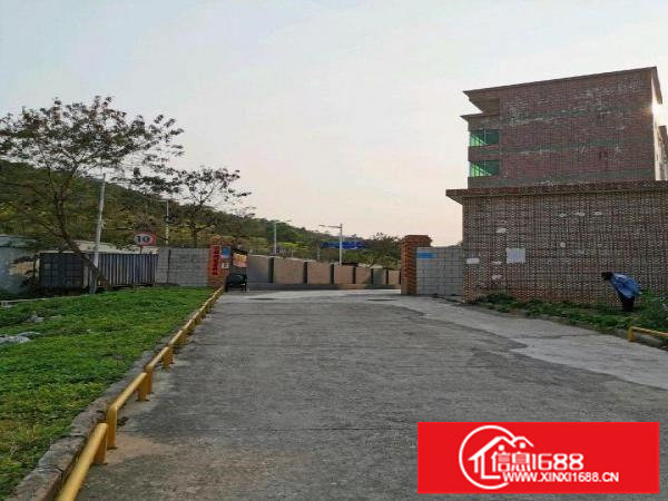 独门独院厂房出租分租一到四层