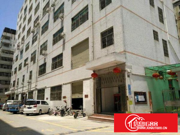 大浪河背工业区420平米厂房业主直租