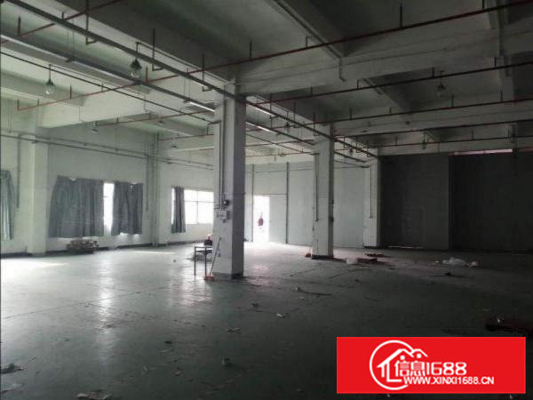 大埔工业园新出带喷淋一楼1300平方招租