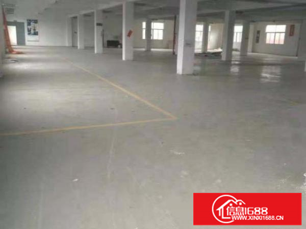 全新工业区独院厂房出租、可分租、空地大、交通方便、可办环评