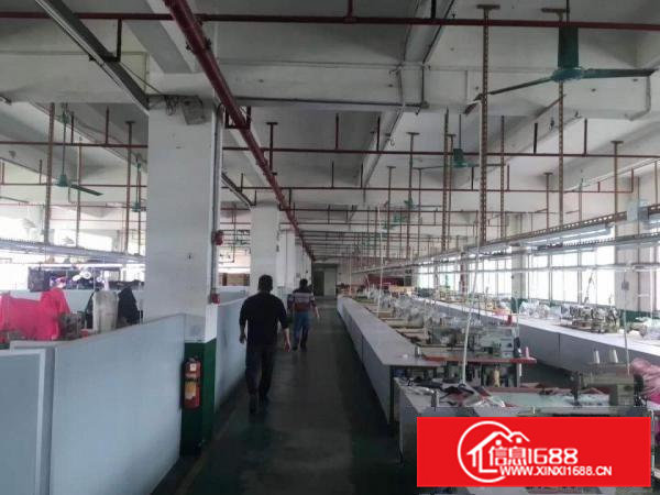 茶山横江二层厂房1400平方15000元出租