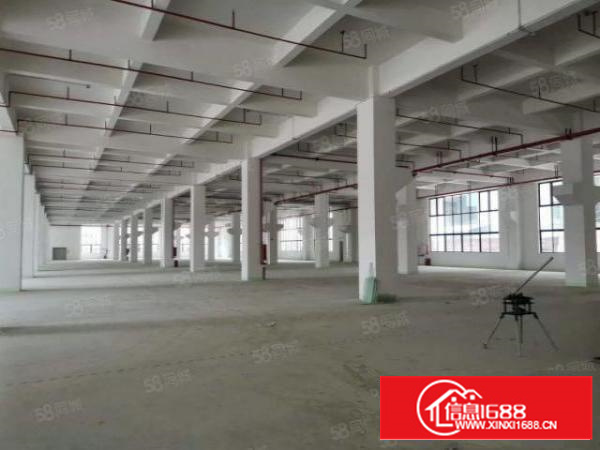 石碣标准一楼5500方（可分租高7米带牛角位好办环评）