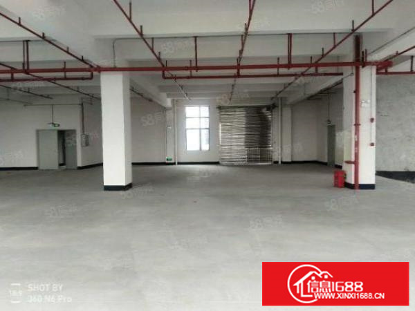 勒流江义800方首层厂房，有房产证，环评秒过，适合各行各业。