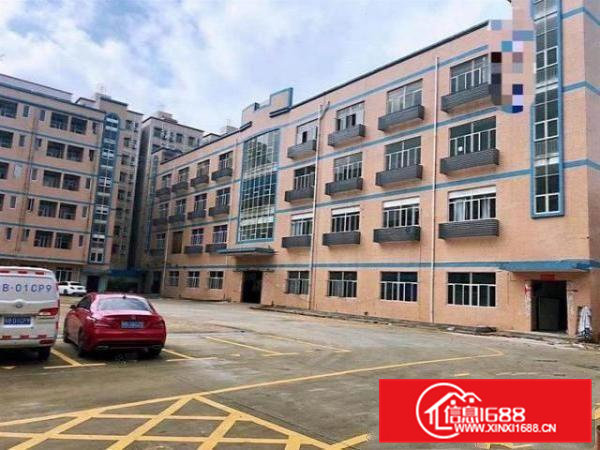 企石博夏村全新一楼480平米厂房