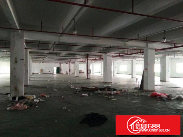 沥林高速出口塘角村委标准厂房一楼1650平方招租