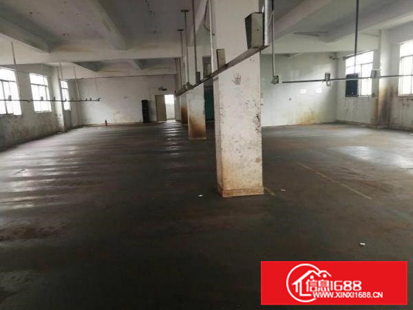 凤岗镇金凤凰工业区带装修厂房2400平米出租