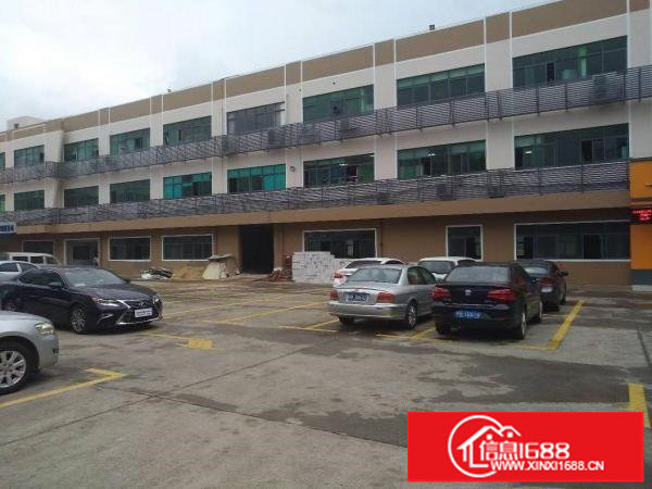 龙岗一楼厂房260平450平600平带装修出租