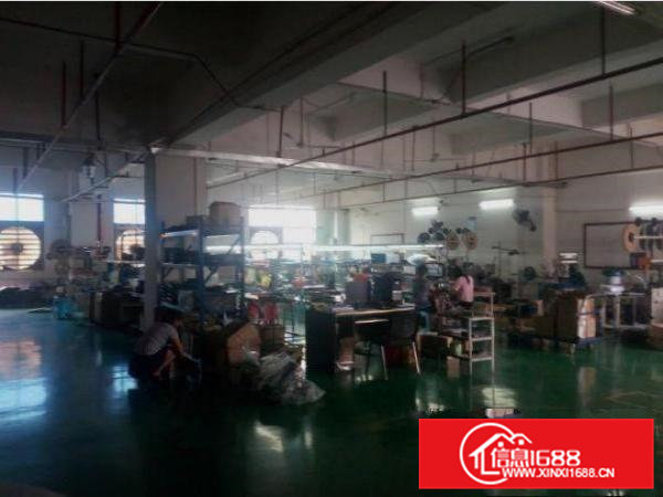 常平白石岗村标准厂房一楼精装修2680平形象好水电齐全