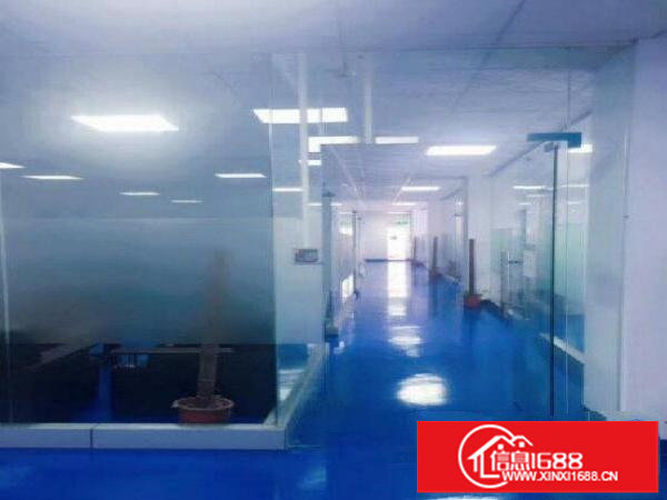 出租龙岗区横岗华乐路原房东楼上厂房1300平方