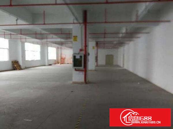 大浪新百丽旁新出一楼500平仓库空地大招租