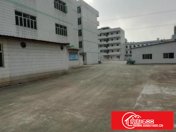 沥林红本厂房单价12元起1000平米起分租