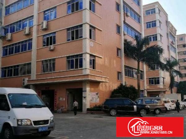 龙山工业区100-2000平厂房招租