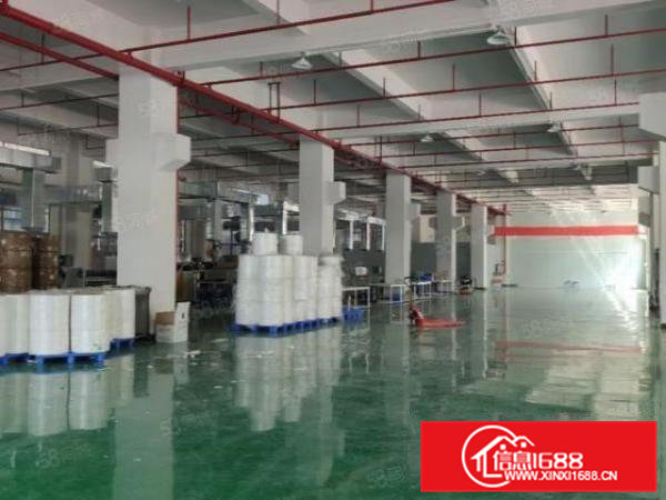 原房东独院3层5400平,宿舍1500，带消防喷淋地坪漆