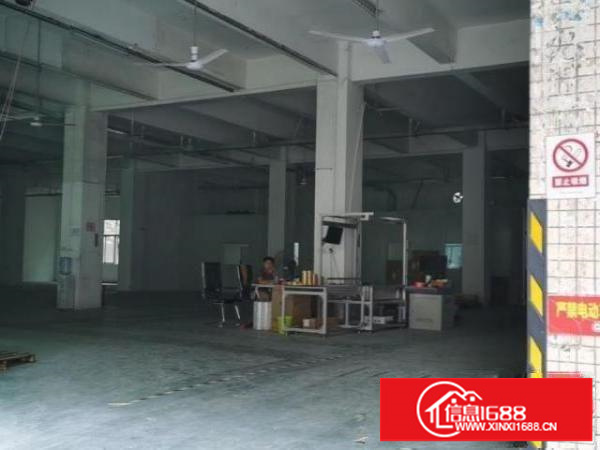 出租宝安福永福园一路厂房出租