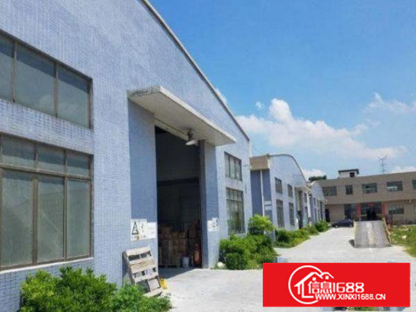 清溪浮岗原房东钢构厂房面积1800平米，空地大