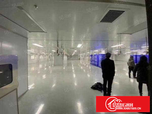 桥头镇刚新出！万级无尘车间厂房！对外出租23F3000