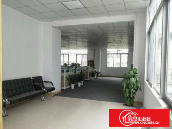 租10块大岭山镇新塘工业园出租楼上1250平厂房带精装修