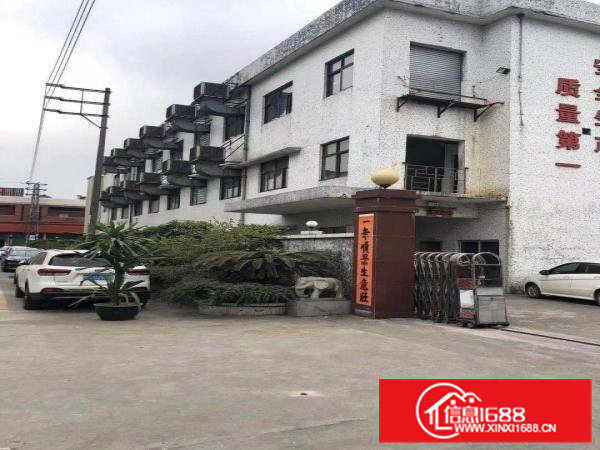 出租大朗镇巷头毛织厂招租