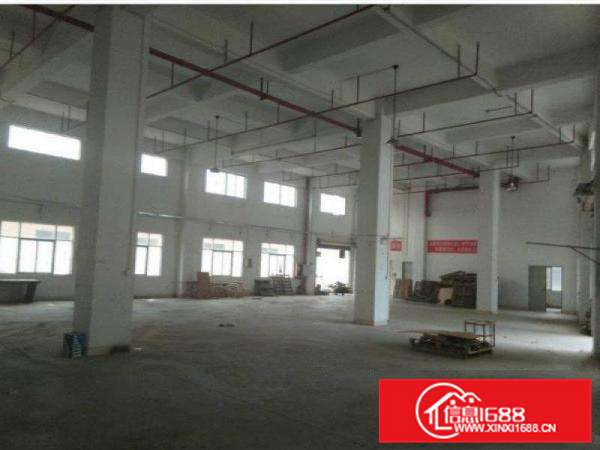 惠阳新圩新出标准厂房一楼430平招租送宿舍